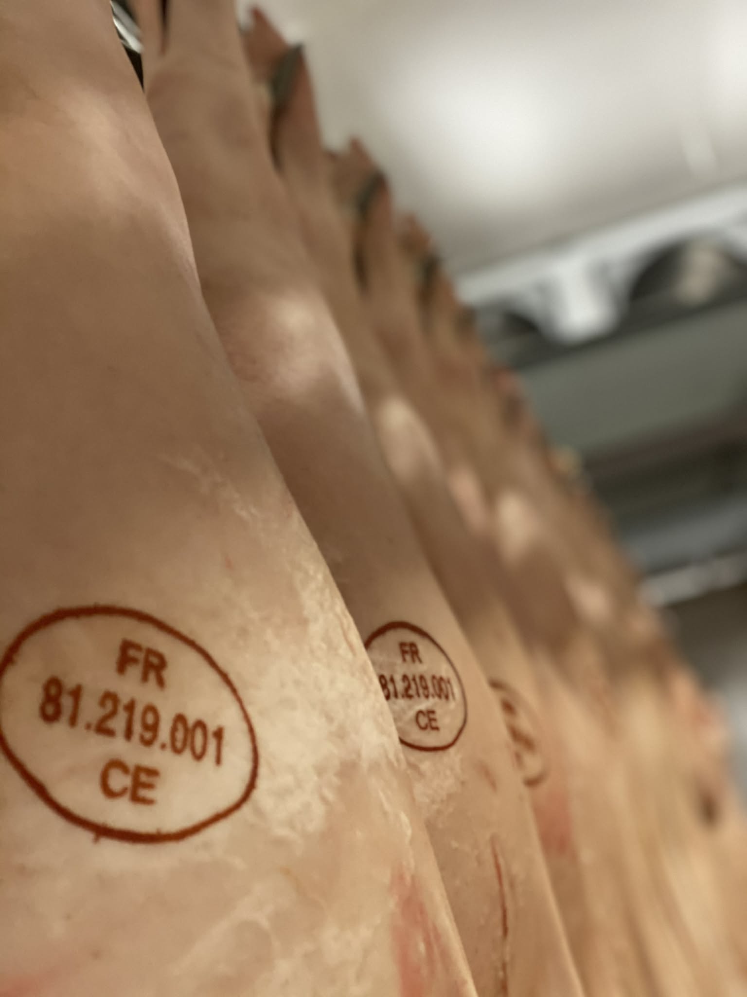 Marquage de qualité sur carcasses porcines